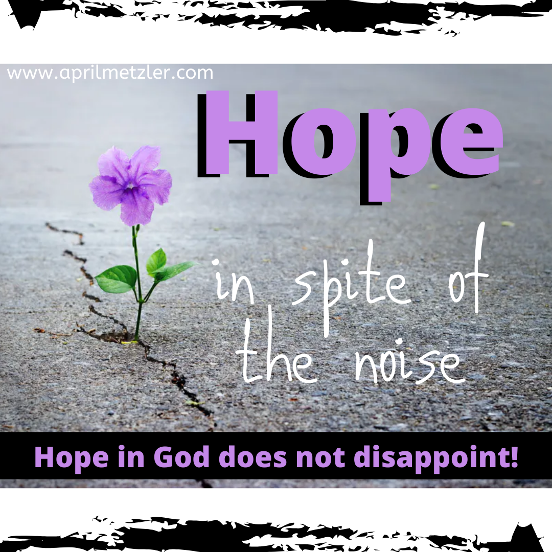 Hope in spite of the noise Hope in God does not disappoint April D Metzler